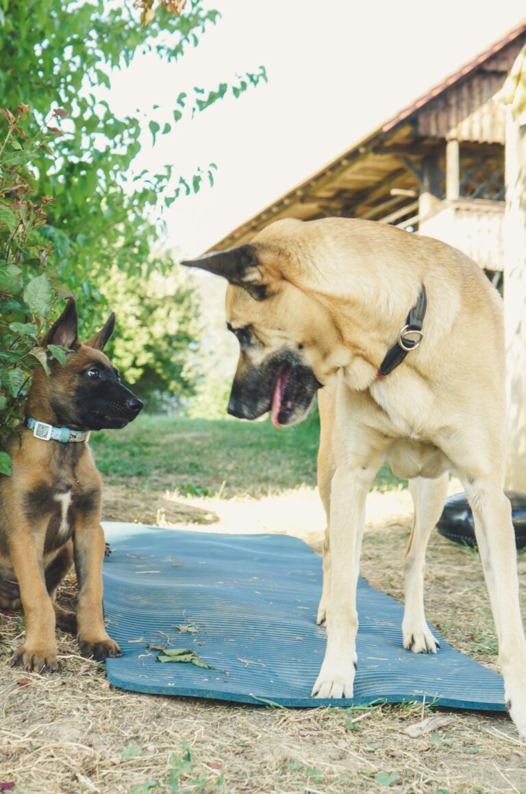 KUZA LUZA (9)